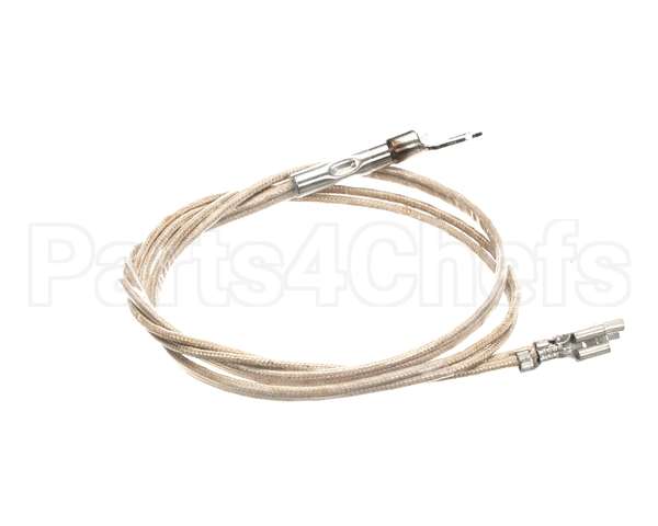 2J-Z16944 Wells Probe Temp-Rtd-20 Leads
