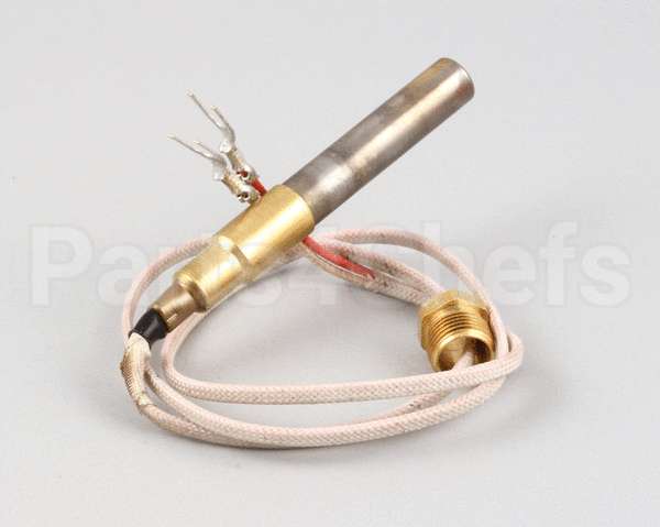 2T-42195 Wells Thermopile Fgs-40