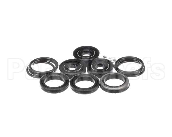 300-3603 Spray Master Seal Kit, Pump 2.2 & 2.9 Gpm, Cat