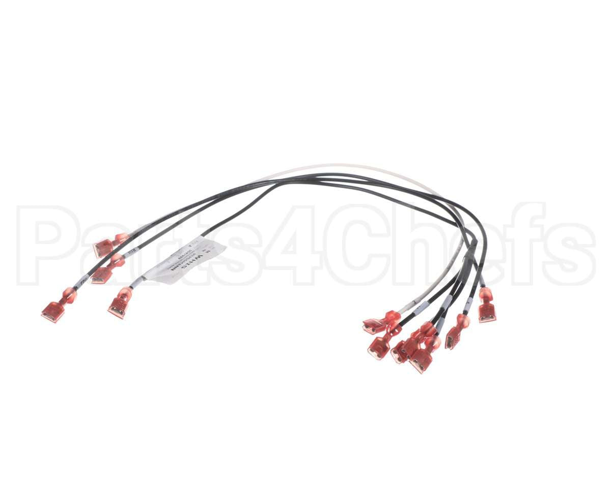 3041994 Hussmann Harness-Rtn400 Isf