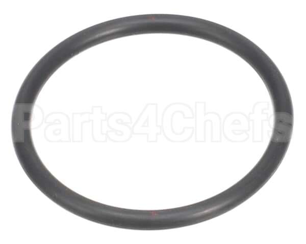 308696 Sloan O-Ring