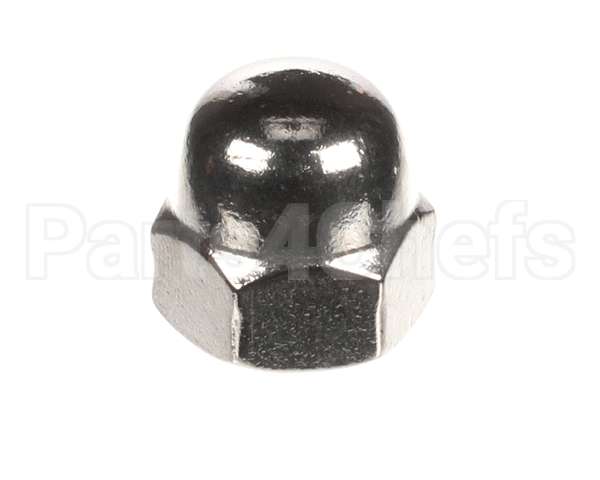 31010587500010 Doyon Hex Cap Nut