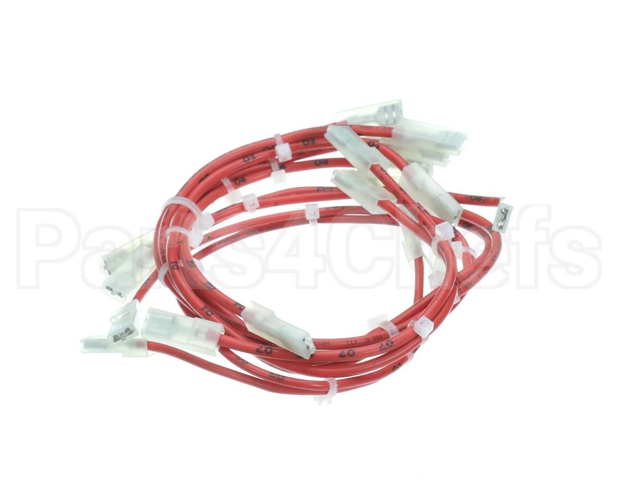 33Z0079 Merrychef E4 Filter Fuse Loom Phb