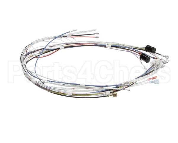 34055.0000 Bunn Wiring Harness, Cbdc - Dv