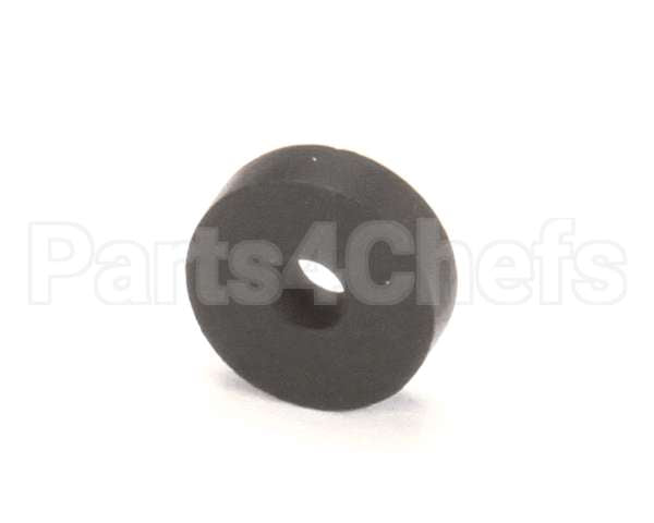 36302002 Rancilio Gasket Past Valve