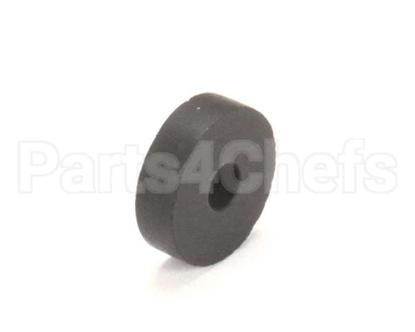 36302002 Rancilio Gasket Past Valve
