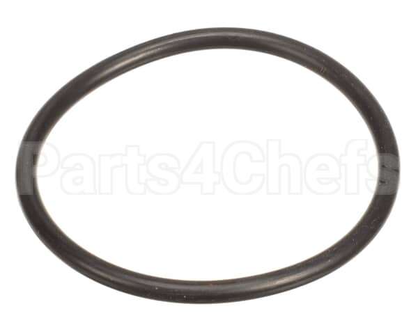 4010-01539 Insinger O-Ring, Drain Valve Body Seat(