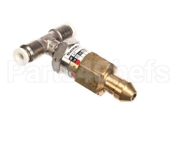 42800.1048 Thermoplan Chek Valve 16.5 Bar Set