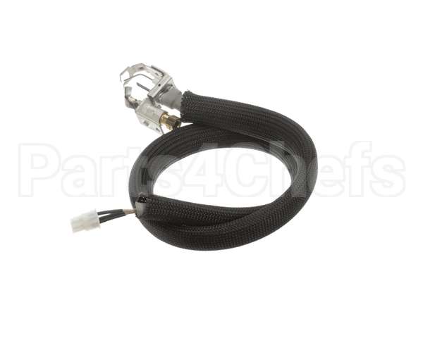 455946 Legion Pilot Burner Ignitor Sensor
