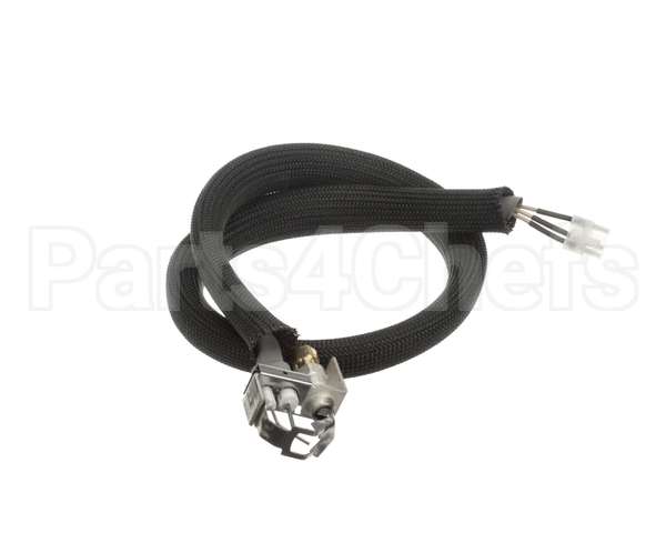 455946 Legion Pilot Burner Ignitor Sensor