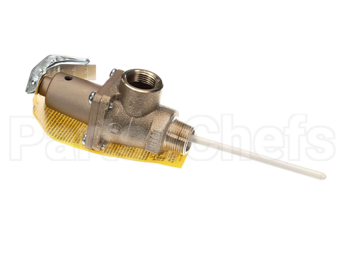 501753 Raypak Relief Valve