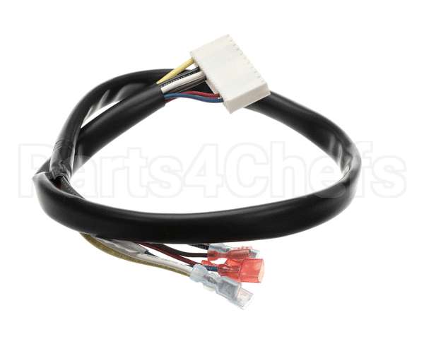 50831701 Victory Wire Harness-Evco Ref/Fzr Control