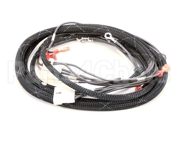 512763 Duke Harness,Oven Tsc