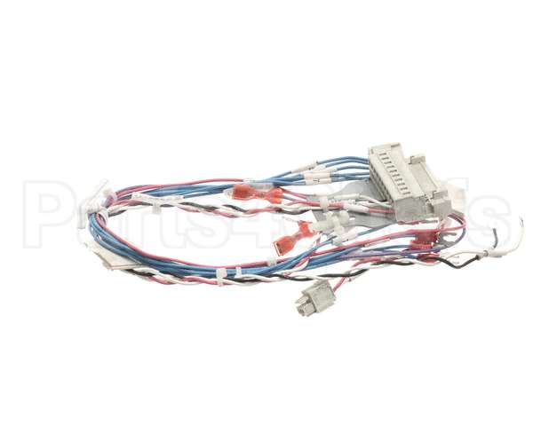 53230 Blodgett Harness,Combi Man Frt 24V