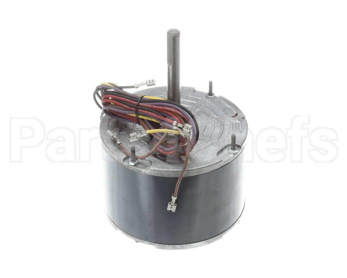56944001 Markel Motor