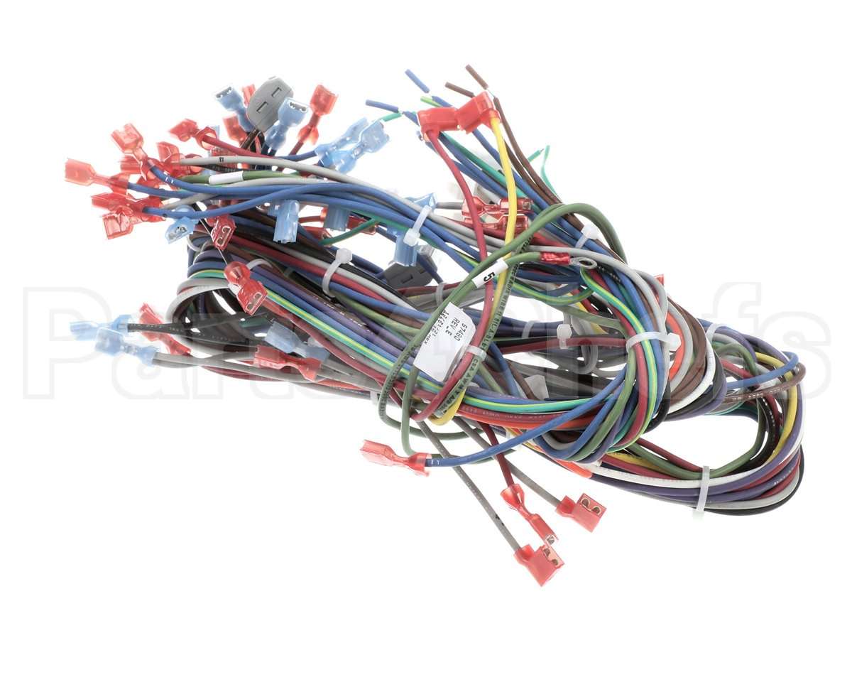 57480 Blodgett Harness, Neeo, Rear