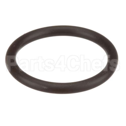 58989 Saniserv O-Ring Switch Pressure