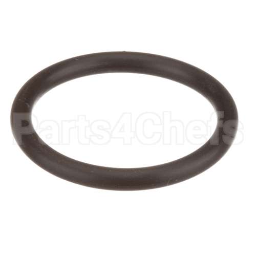 58989 Saniserv O-Ring Switch Pressure