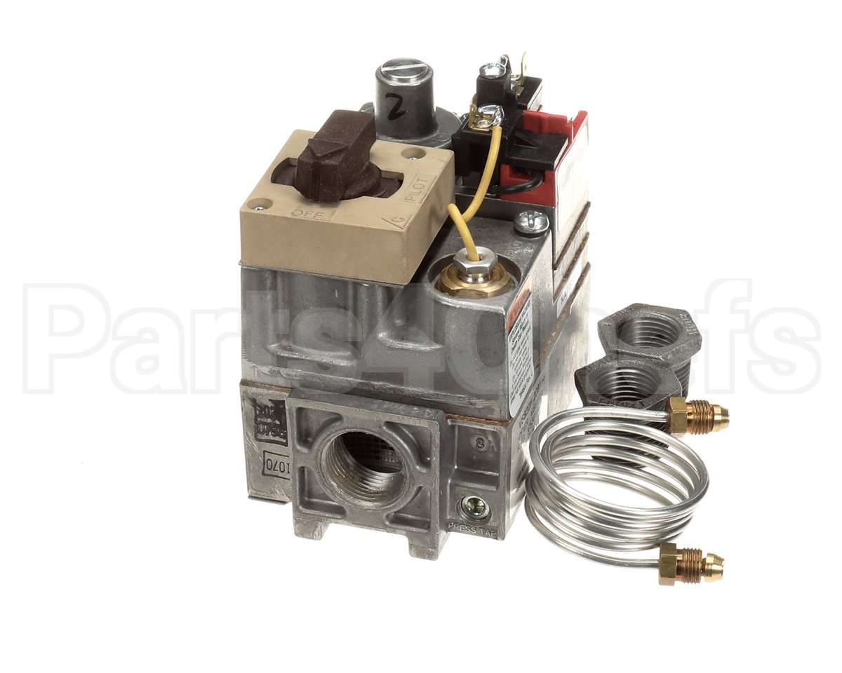 600862 Raypak Gas Valve Nat