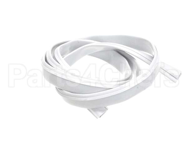 608030321 Ifi America Tonda Gasket