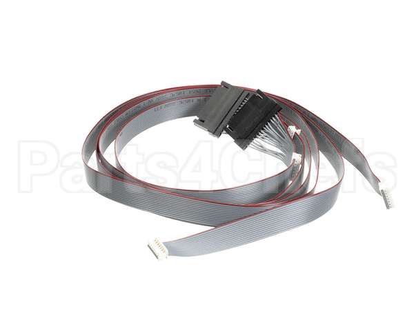 620048380 Cornelius Harness Keypad/E-Board Membrn Ada