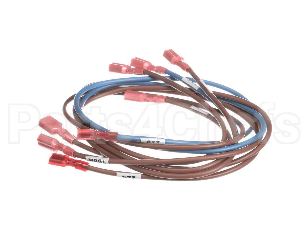 74281 Middleby Wireset,24Vdc Motor Ps670