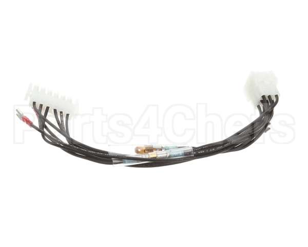 8066330SP Frymaster Plug Assembly, H50 Filter Box 120V