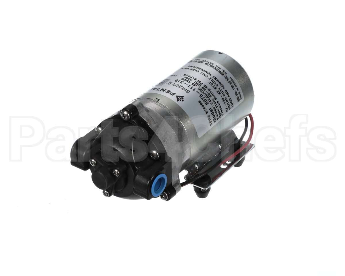 8075-111-319 Everpure Pump 24Vac R.o. General