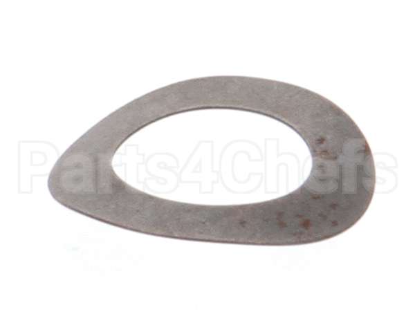 810 Globe Motor Gear Bowed Washer