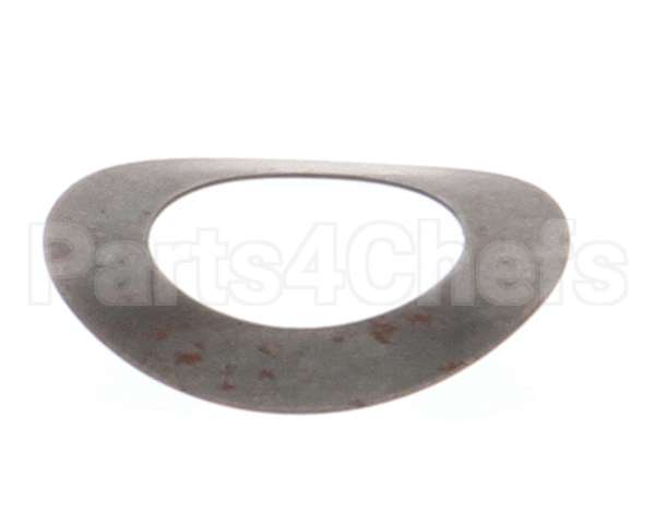 810 Globe Motor Gear Bowed Washer
