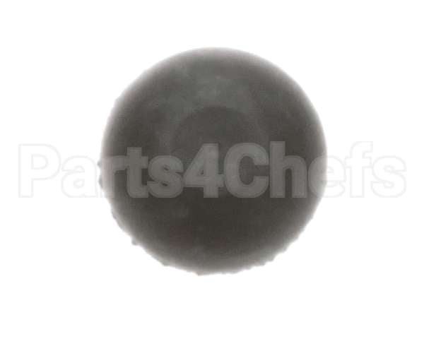 81169 Server Foot W/Screw