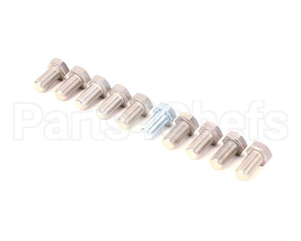 9031001-01P Ice O Matic Y 10Pk Screw Hex Hd