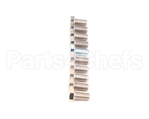 9031001-01P Ice O Matic Y 10Pk Screw Hex Hd