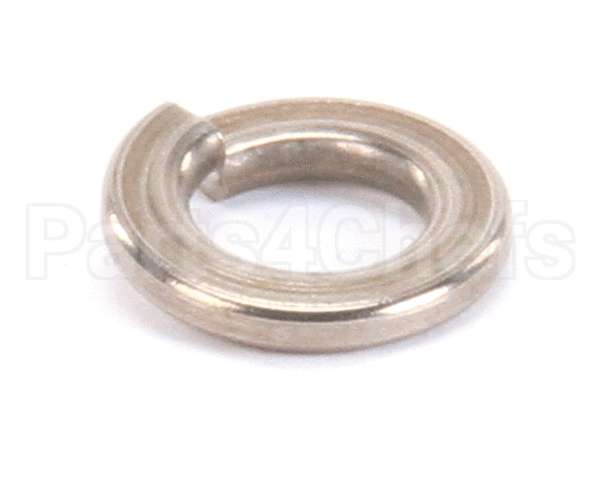 962-13 Globe Lock Washer