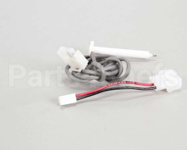 A33101-022 Scotsman Thermo Probe Service