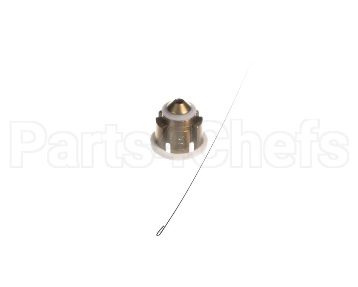 B1789874 Goodman Flow Check Piston