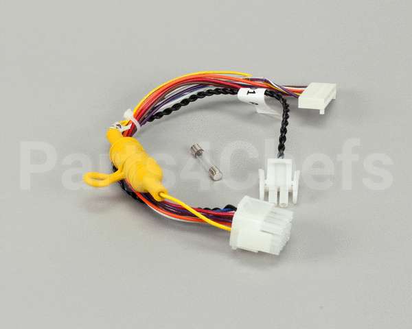 B6760301 Pitco Wiring,Rly Brd/Control Rt Fuse Mg