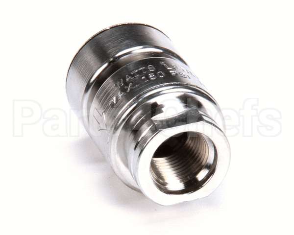 BL-5550-09 T&S Brass Vacuum Breaker, Anti-Siphon, 3/8 Npt Mal