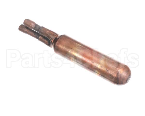 DR-19-P Cornelius Accum Fogel