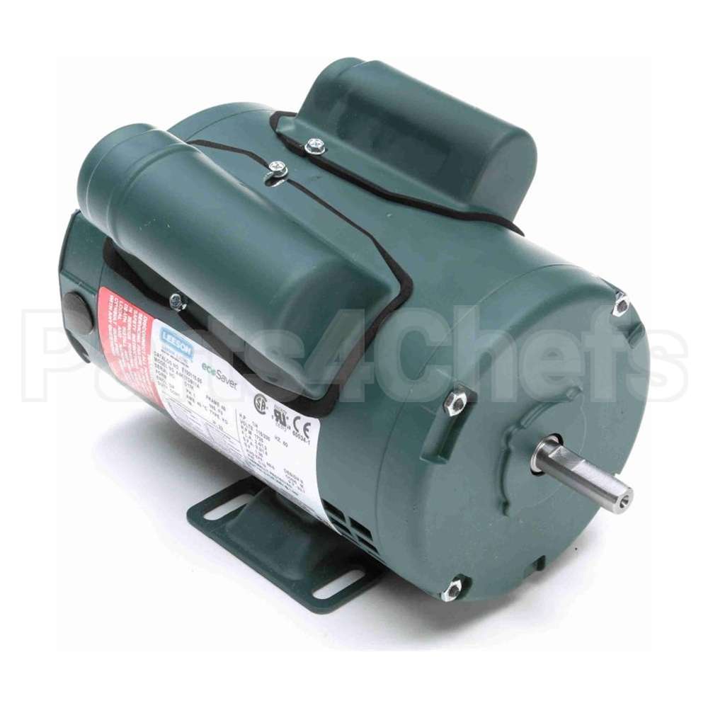 E100115.00 Leeson Motor