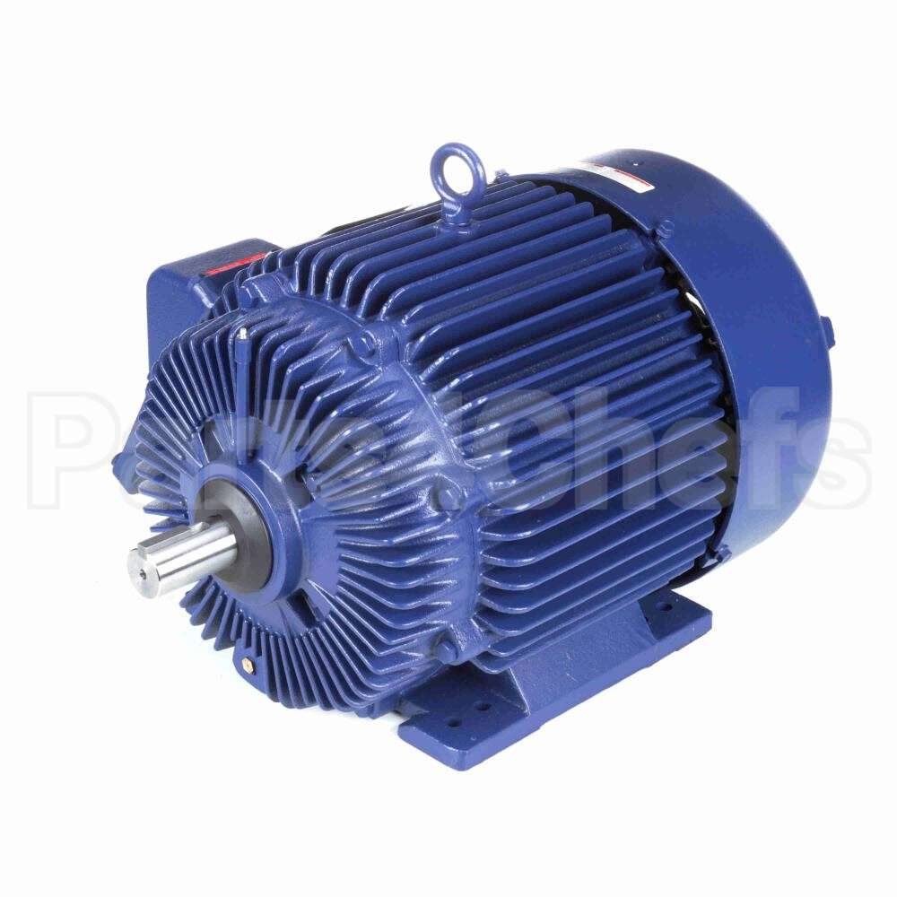 E566 Marathon Motor