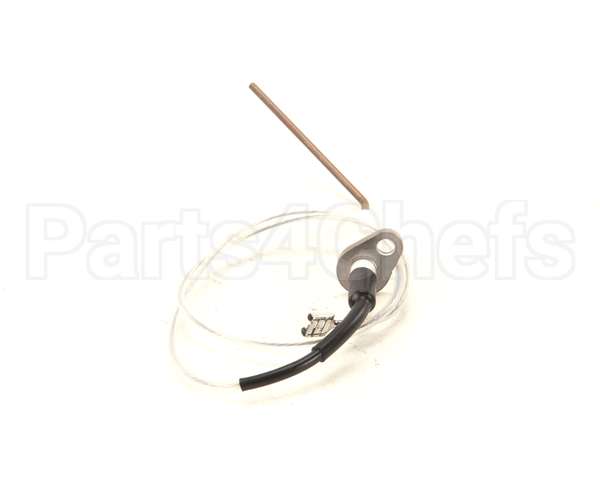 E874906 Eloma Ionis Electric D2K 611 1011 2011 (Pull L