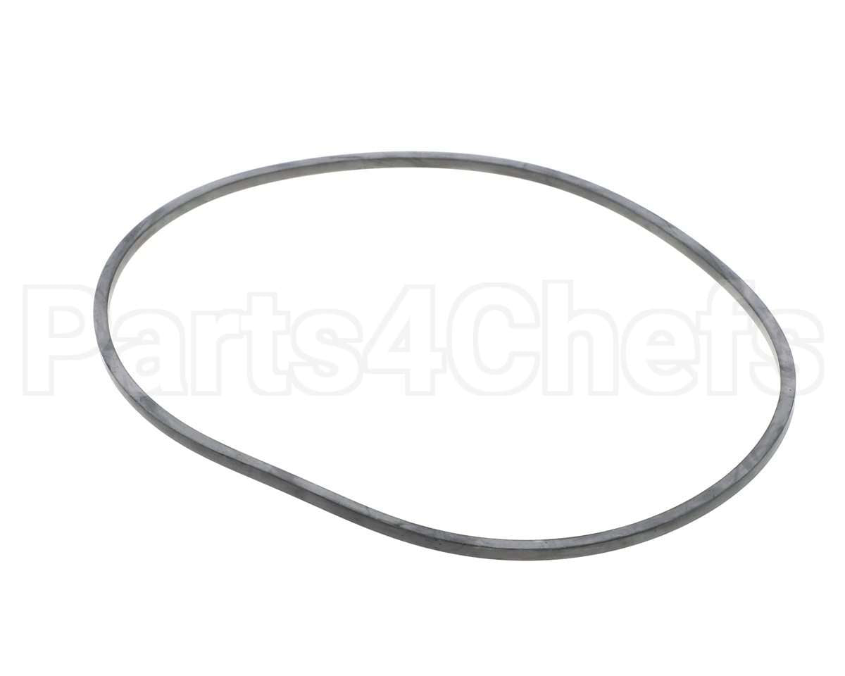 EV094400 Everpure Gasket Sq. Cut T-9/20
