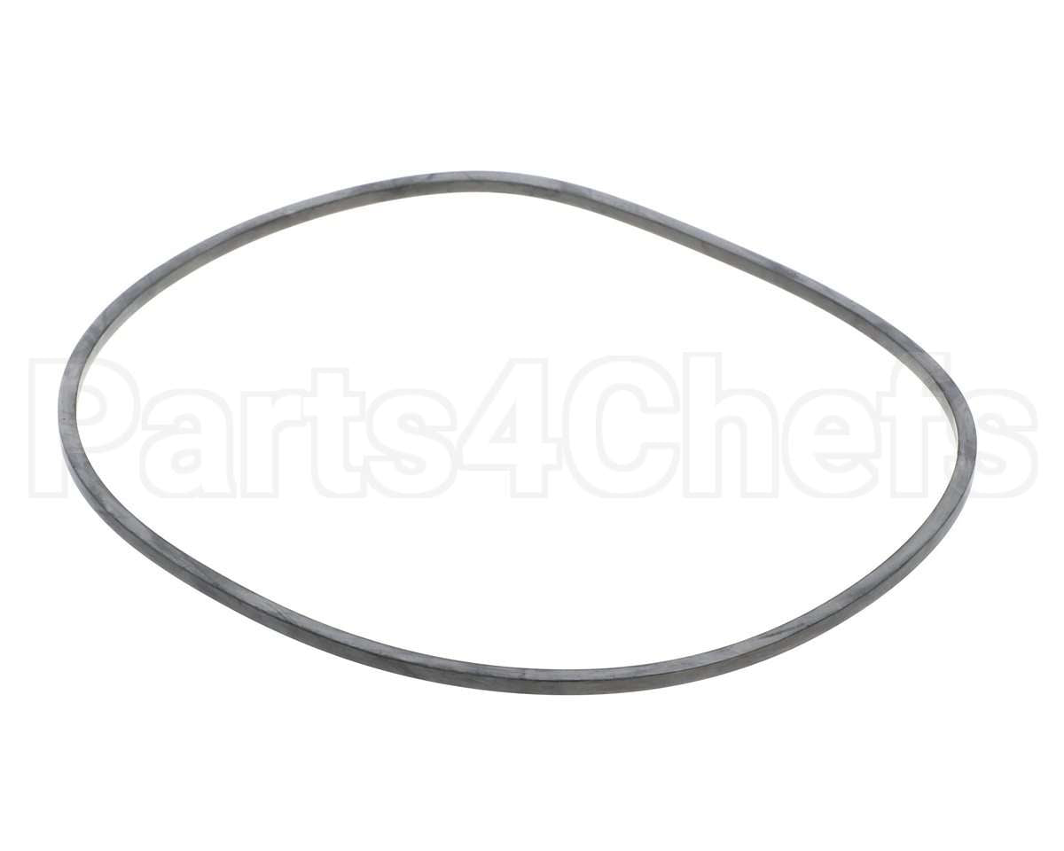 EV094400 Everpure Gasket Sq. Cut T-9/20