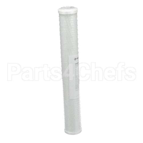 EV910863 Everpure Cg53-20