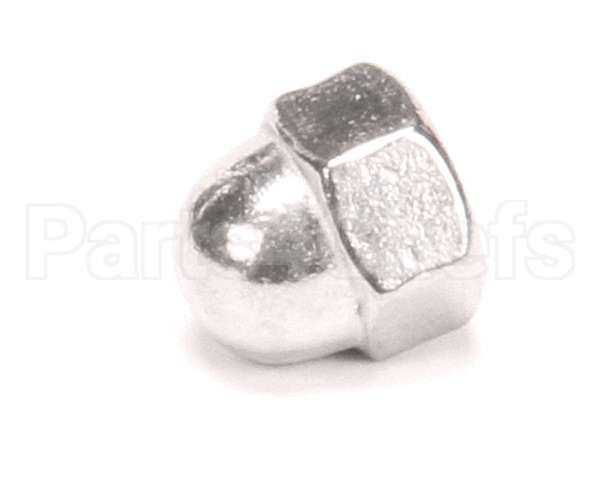 FA21501-2 Cleveland Acorn Nut; 1/4-20 Ss