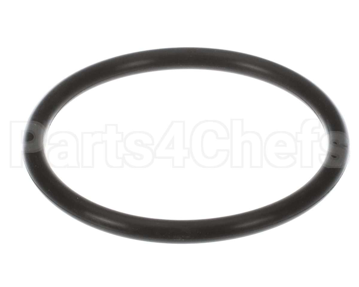 GS-39486 Alto Shaam Gasket