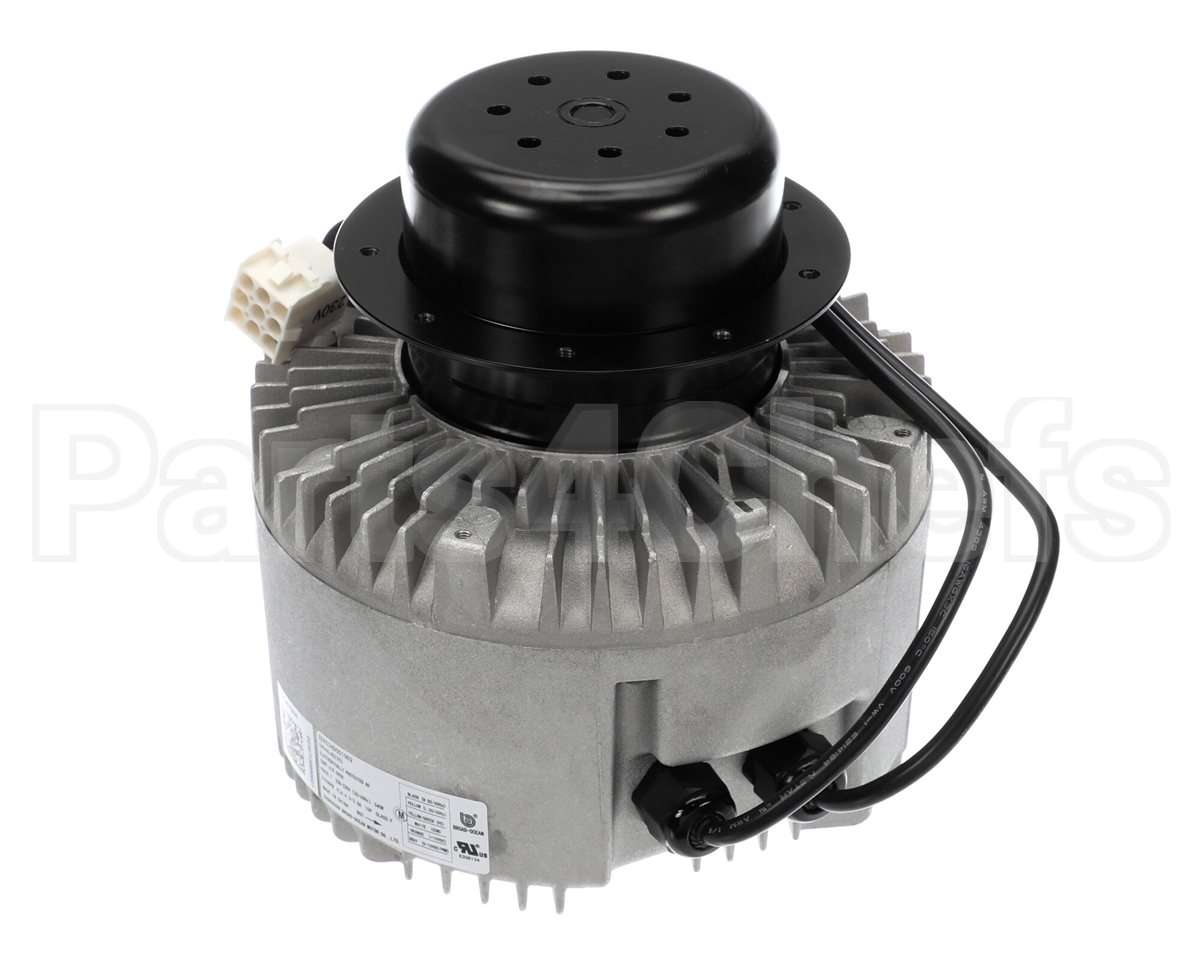 HC46JQ230 Bryant Payne Motor, Blower