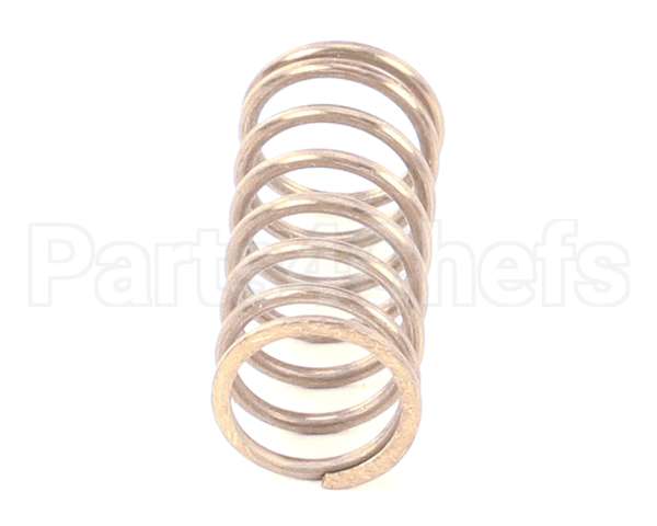 IC178100900 Carpigiani Single Spring C I