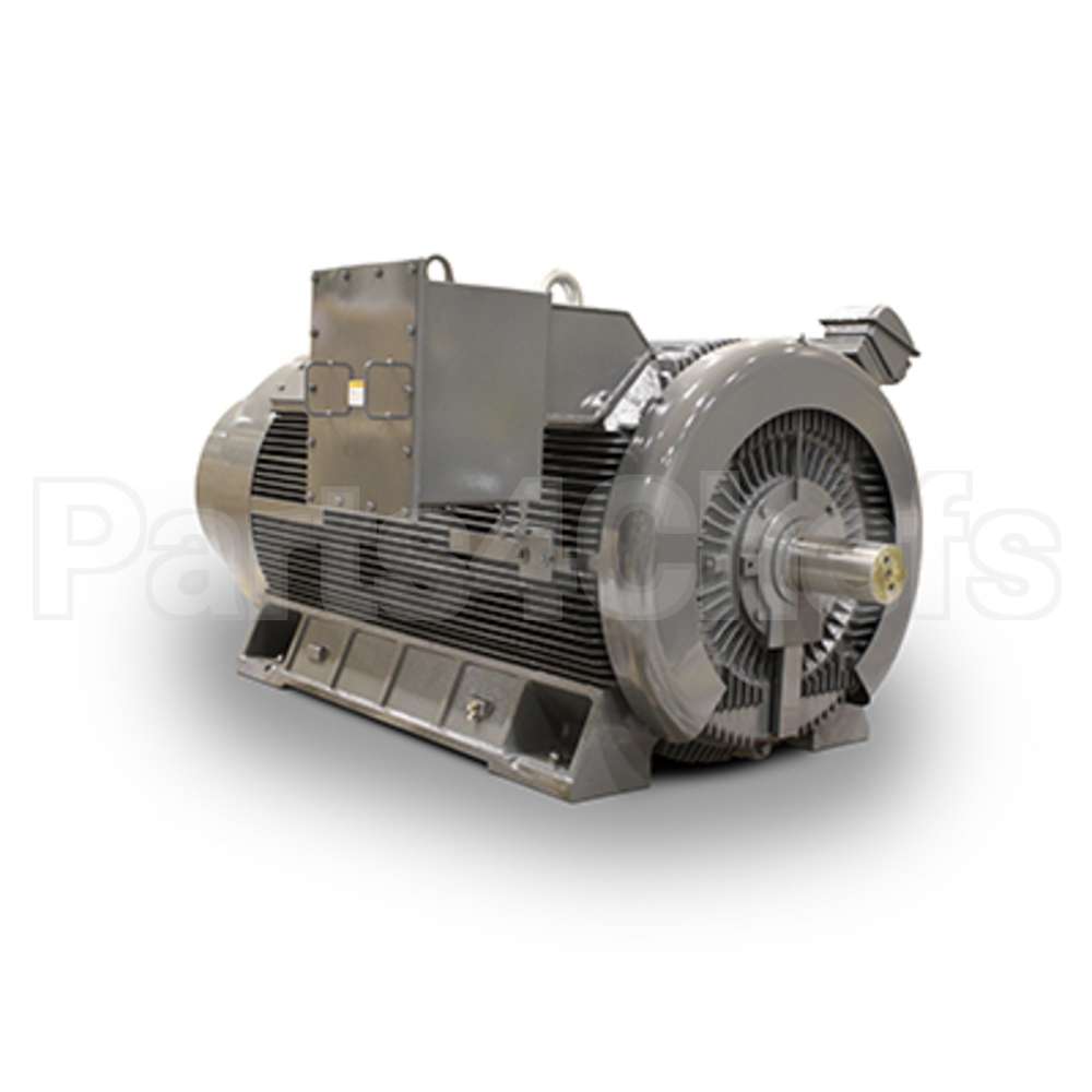 JH09008 Teco Medium Voltage Motor